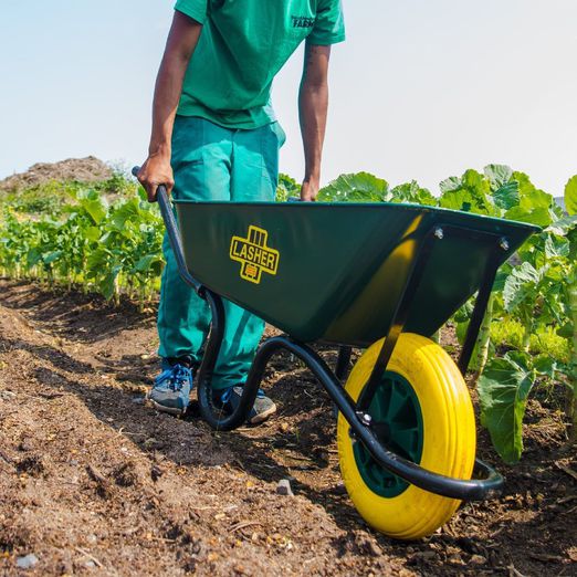 ERP - Sample 3 for three columns